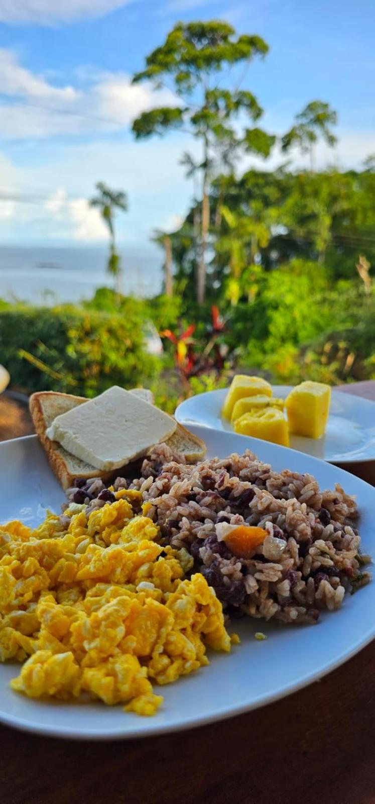 Cabinas Vista Isla Del Cano Corcovado Drakes Bay المظهر الخارجي الصورة